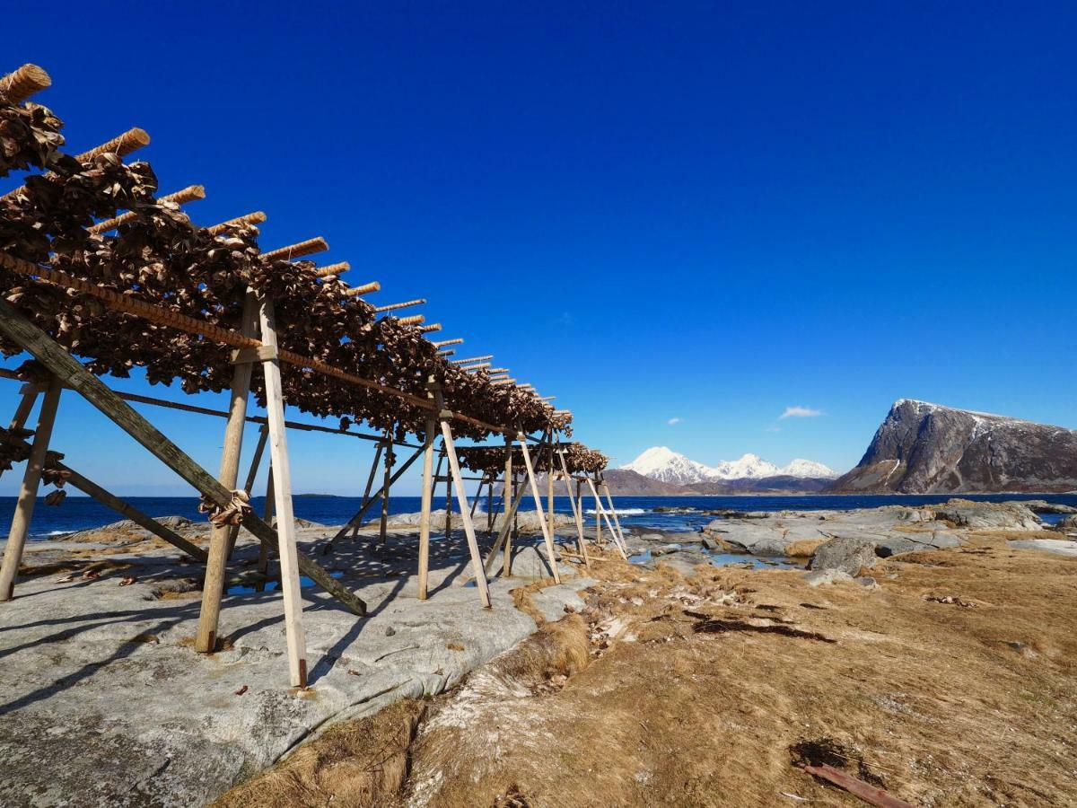Midnight Sun View Lofoten เลคเนส ภายนอก รูปภาพ
